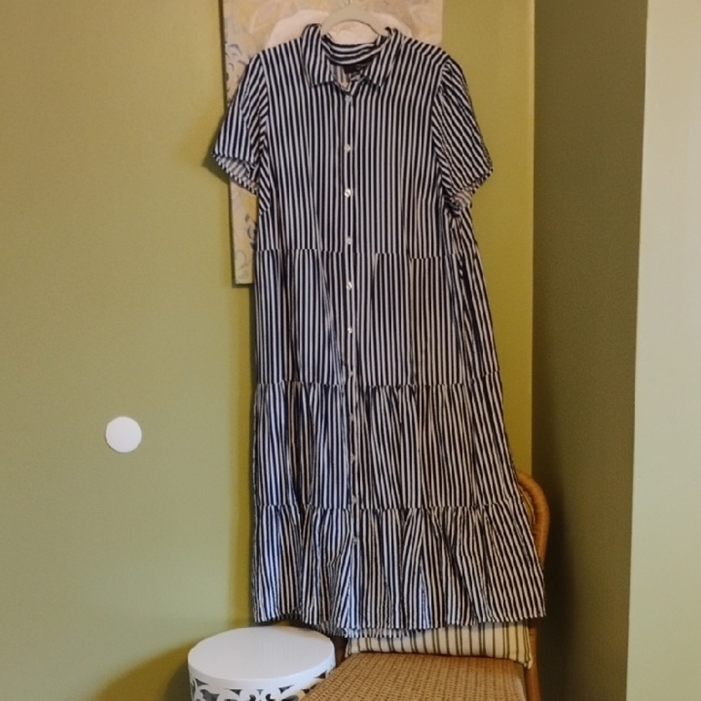 Striped Blue and White Button-Up Dress